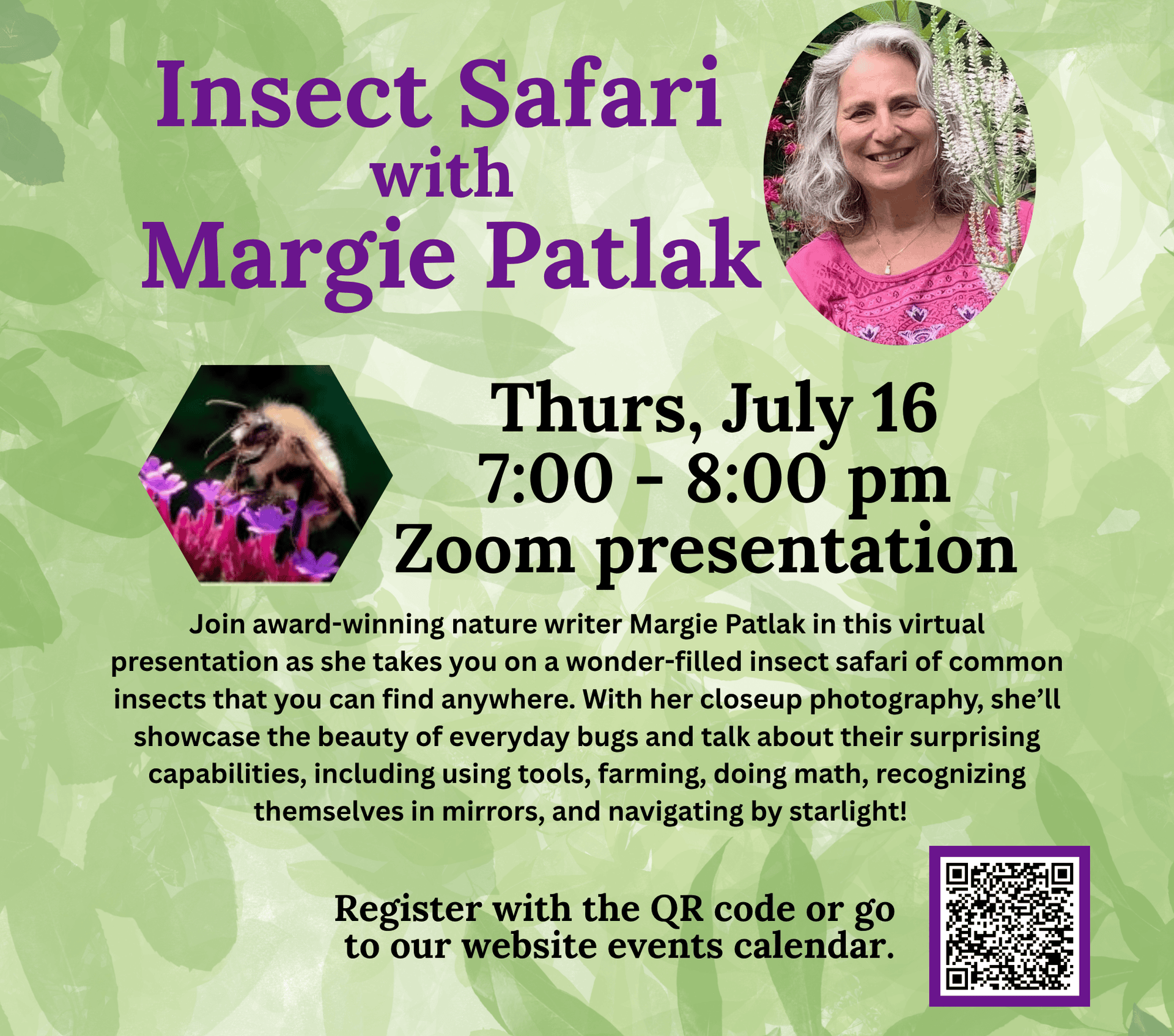 insect safari website