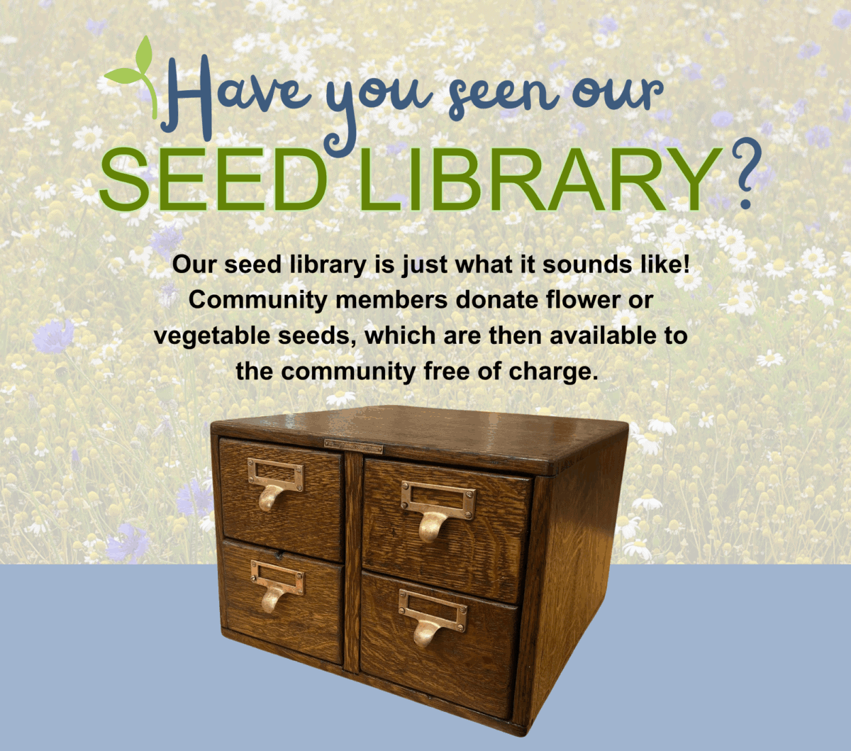 seed library for website